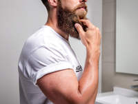 Barbe